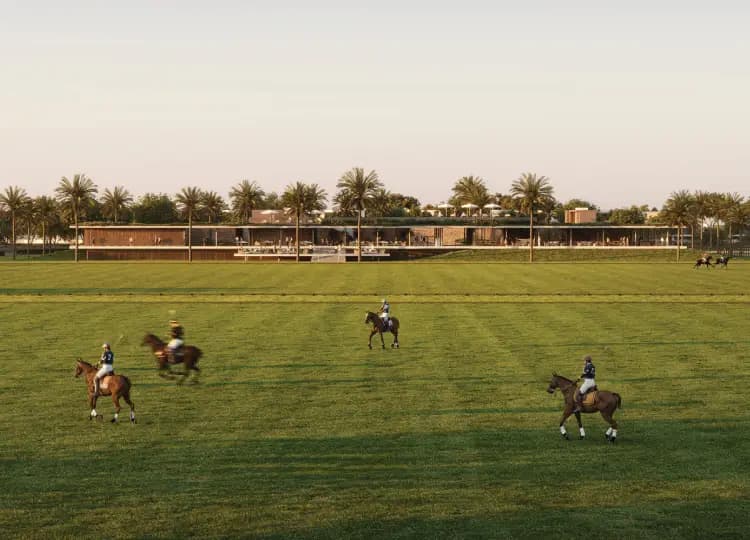 Grand Polo Club & Resort